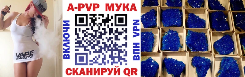 A PVP СК  Всеволожск 