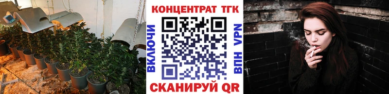 как найти закладки Всеволожск blacksprut рабочий сайт ТГК Wax