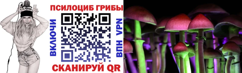 Псилоцибиновые грибы мицелий продажа наркотиков Всеволожск
